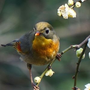 Meet your Posher, Billy